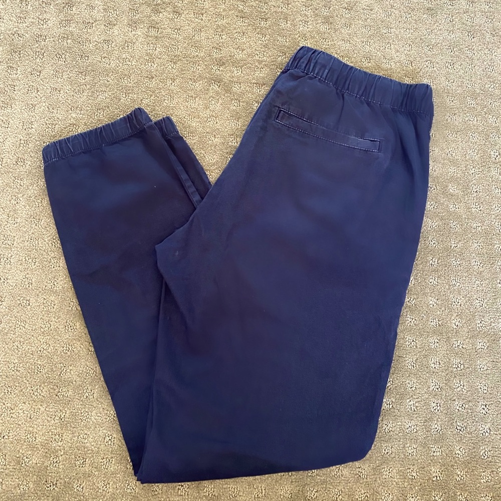 Banana Republic Drawstring Jogger Pants